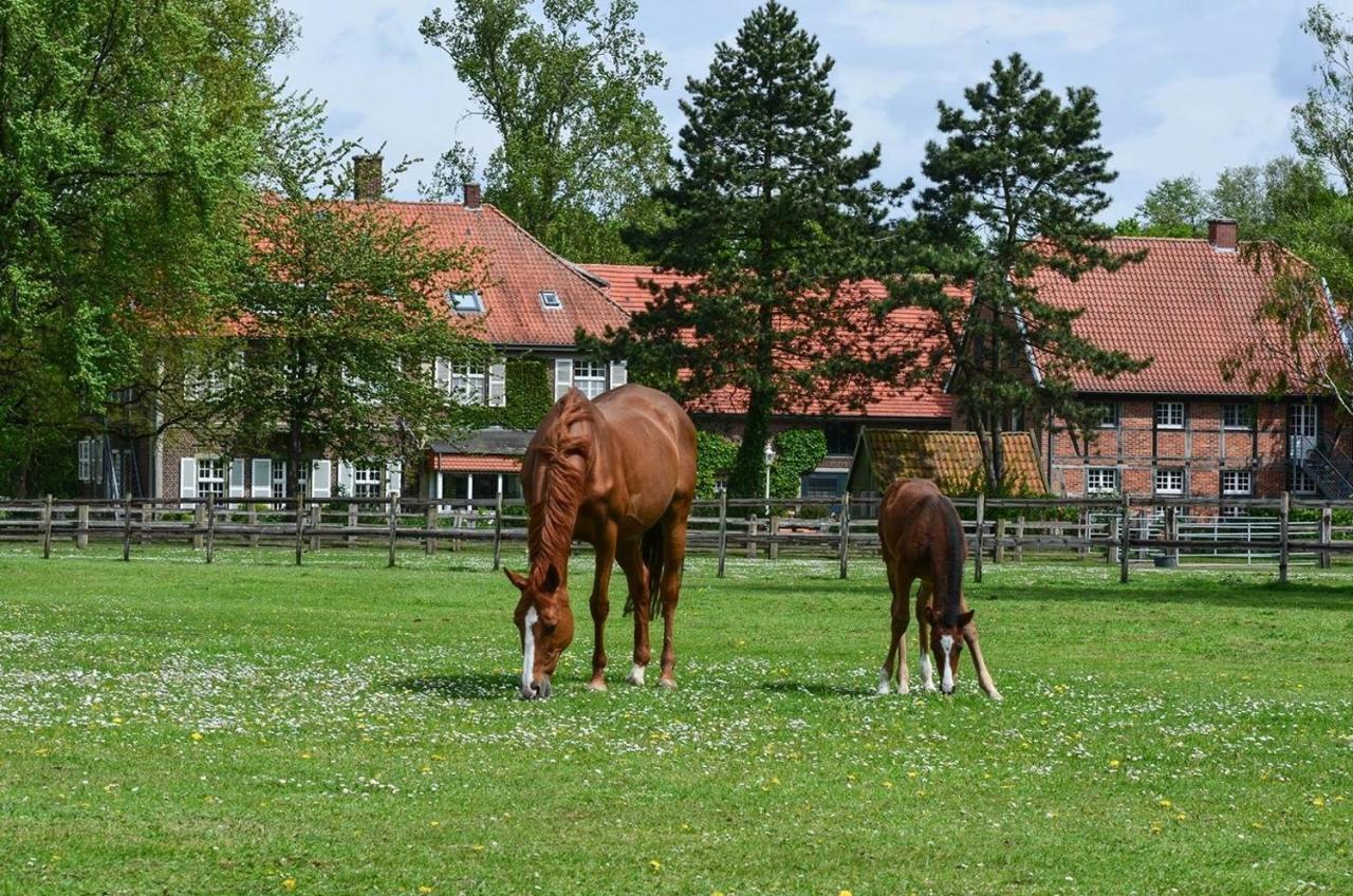 Ferienwohnungen Georgenbruch Everswinkel Exterior photo